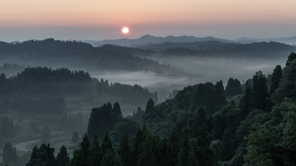 霧のキャンパス
