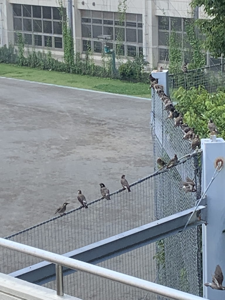 ソーシャルディスタンス