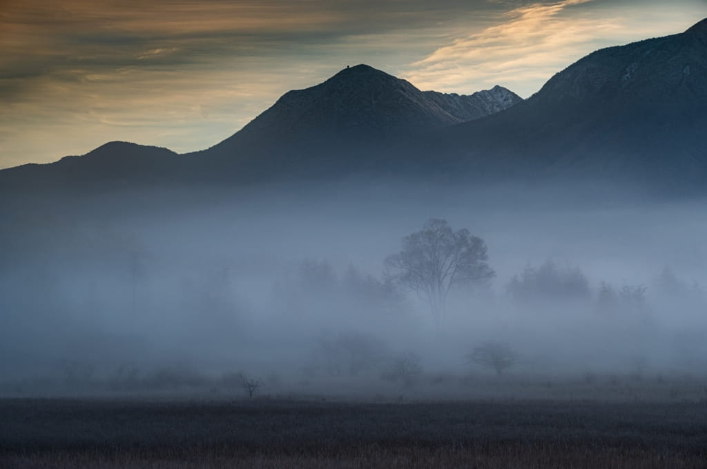 小田代ヶ原の夜明け